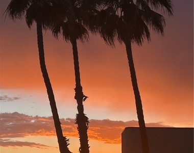 711 Pacific Coast Highway - Photo Thumbnail 26