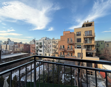 193 Withers Street - Photo Thumbnail 2
