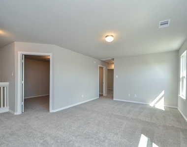 3210 Harmony Creek Lane - Photo Thumbnail 21