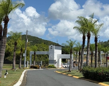 Ph-7 La Costa Apts - Photo Thumbnail 25