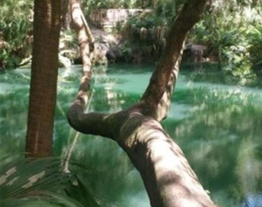 120 Hibiscus Woods Court - Photo Thumbnail 2