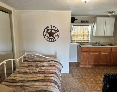 11001 W Lake Road - Photo Thumbnail 34
