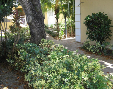5162 Ne 6th Avenue - Photo Thumbnail 25