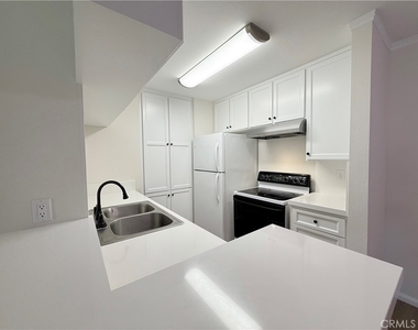 806 Coriander Drive - Photo Thumbnail 8