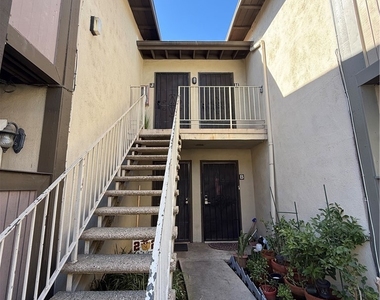 806 Coriander Drive - Photo Thumbnail 2