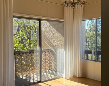 25861 Marguerite - Photo Thumbnail 11