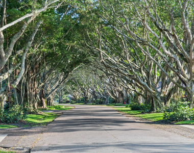 2785 Polo Island Drive - Photo Thumbnail 3