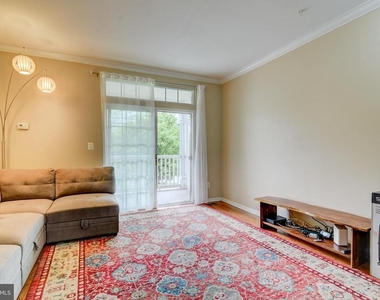 43920 Hickory Corner Terrace - Photo Thumbnail 14