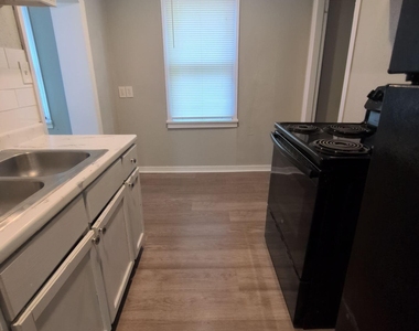 1037 Detroit Street - Photo Thumbnail 11