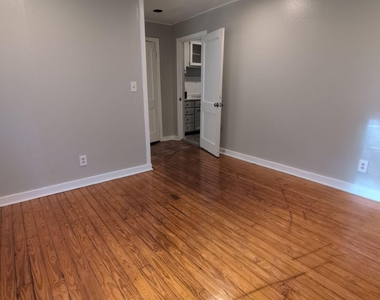 1037 Detroit Street - Photo Thumbnail 7