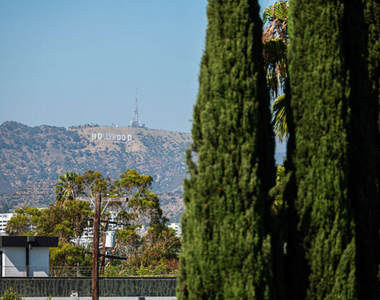 531 N Stanley Avenue - Photo Thumbnail 36