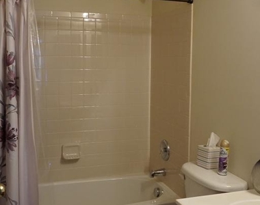 901 Pine Forest Lane - Photo Thumbnail 25