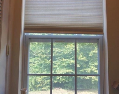 901 Pine Forest Lane - Photo Thumbnail 21