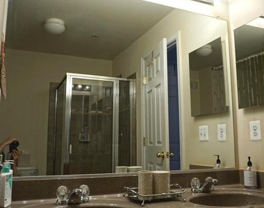 901 Pine Forest Lane - Photo Thumbnail 29