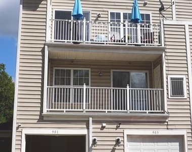901 Pine Forest Lane - Photo Thumbnail 43
