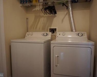 901 Pine Forest Lane - Photo Thumbnail 22