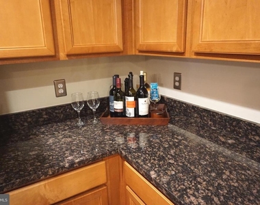 901 Pine Forest Lane - Photo Thumbnail 15