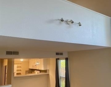 805 Paisley Dr Drive - Photo Thumbnail 6