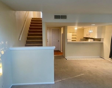 805 Paisley Dr Drive - Photo Thumbnail 13