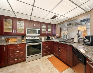 1310 Gulf Boulevard - Photo Thumbnail 5