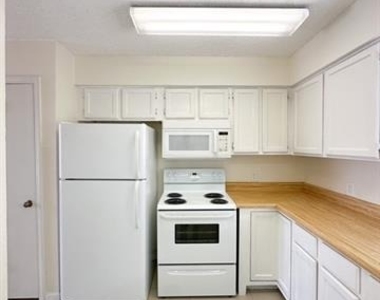 4748 Old Bent Tree Lane - Photo Thumbnail 2