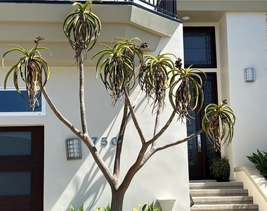 750 Bolsana Drive - Photo Thumbnail 17