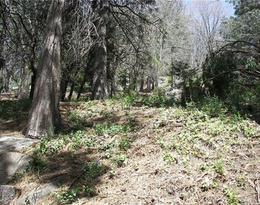 21636 Sawpit Canyon - Photo Thumbnail 65