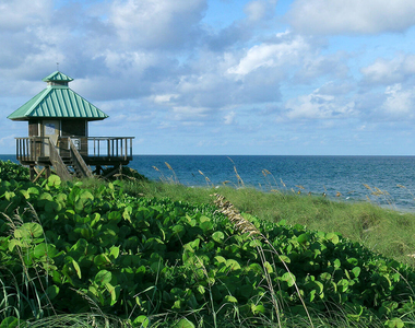 500 Se Mizner Boulevard - Photo Thumbnail 72