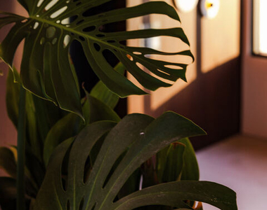 3004 W Sunset Boulevard - Photo Thumbnail 15