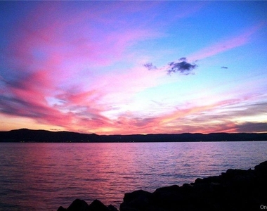 1309 Half Moon Bay Drive - Photo Thumbnail 20