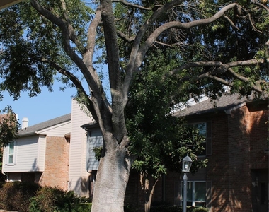 5976 Woodway Place Court - Photo Thumbnail 28