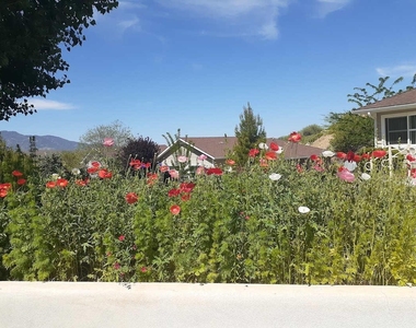 1039 E Saguaro Dr - Photo Thumbnail 8