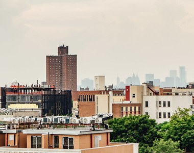 774 Bushwick Avenue - Photo Thumbnail 8
