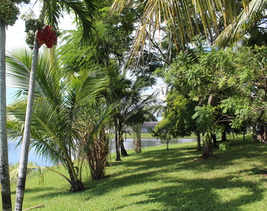 13847 Geranium Place - Photo Thumbnail 4