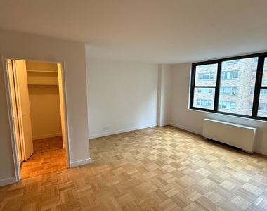East 49th Street - Photo Thumbnail 1