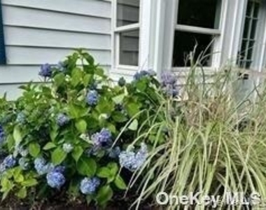 16a Bishop Avenue - Photo Thumbnail 19