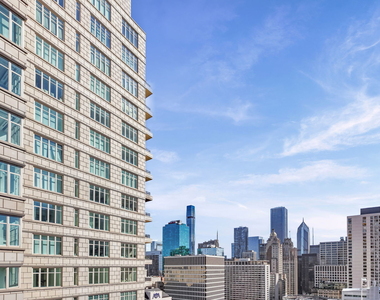 118 E Erie Street - Photo Thumbnail 26