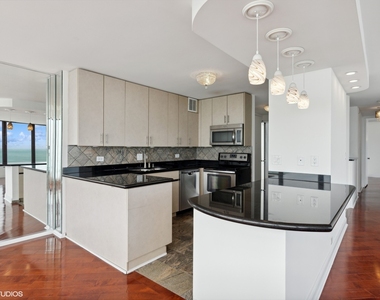 505 N Lake Shore Drive - Photo Thumbnail 3