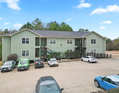 409 Beto St - Photo Thumbnail 2