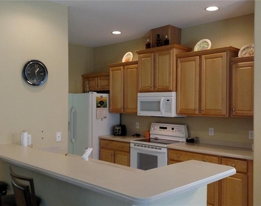 11581 Dancing River Drive - Photo Thumbnail 5