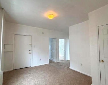49 Hopkins Street - Photo Thumbnail 6