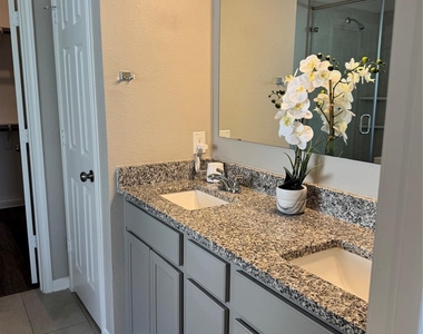 1107 Tomball Downs Drive - Photo Thumbnail 21