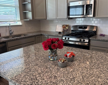 1107 Tomball Downs Drive - Photo Thumbnail 26