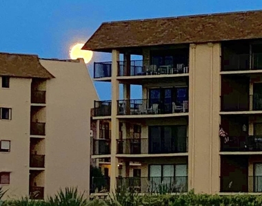8500 Ridgewood Avenue - Photo Thumbnail 20