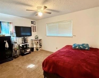 124 Juanita Avenue - Photo Thumbnail 9