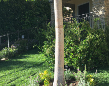 1171 Franklin Street - Photo Thumbnail 21