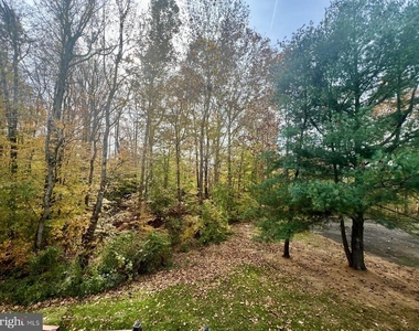 11570 Hill Meade Lane - Photo Thumbnail 11
