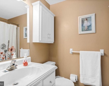 1003 Mulberry Court - Photo Thumbnail 15