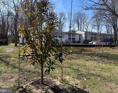 8613 Seasons Way - Photo Thumbnail 35