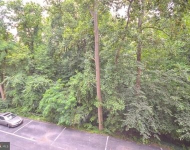4100 W Street Nw - Photo Thumbnail 10
